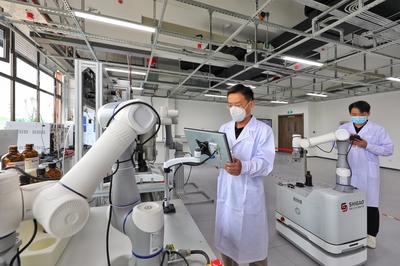 技术咨询的价值与流程 以专业服务驱动创新与效率提升