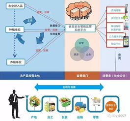 大数据与区块链技术 构筑食品安全新防线