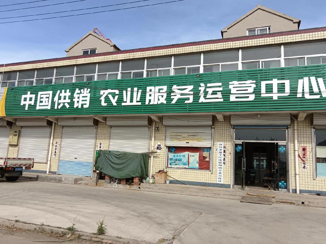 2025夏播玉米品种已到货 科技赋能，助力秋收高产